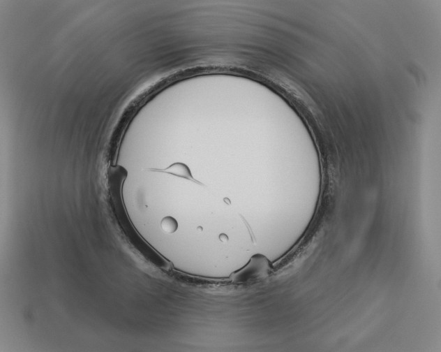 X0000113161029200910021457