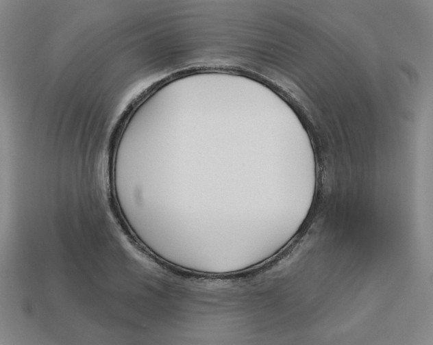 X0000113161030200910021457