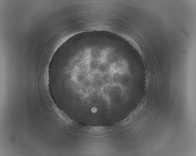 X0000113161031200910021457