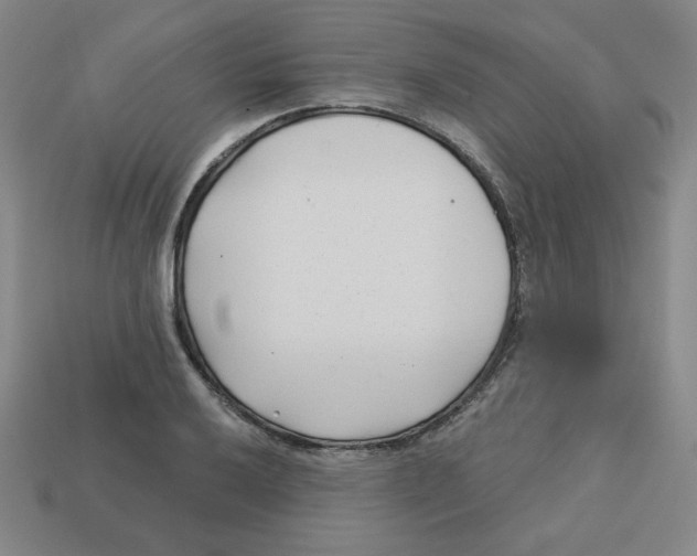 X0000113161032200910021457