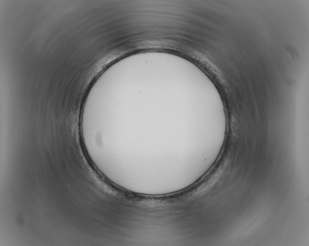 X0000113161033200910021457