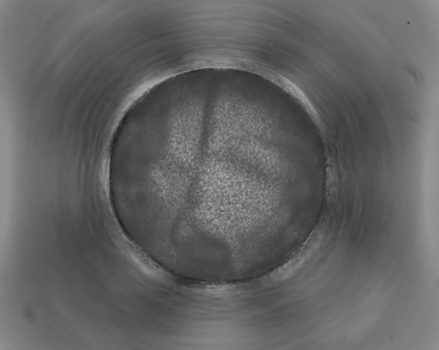 X0000113161035200910021457