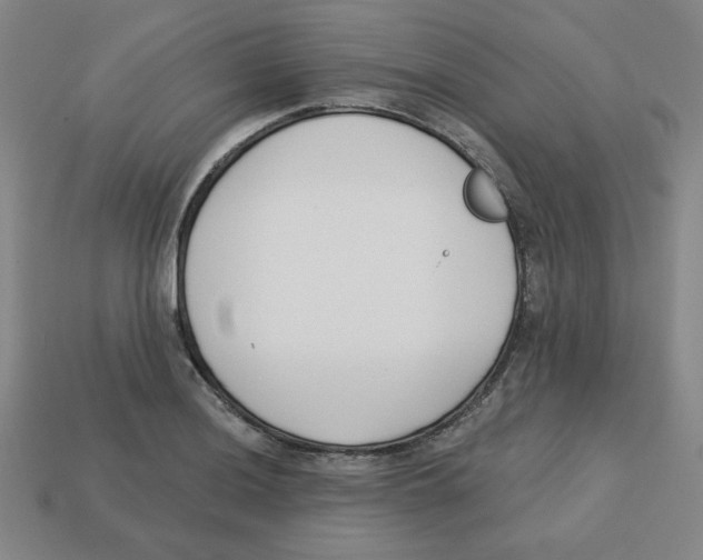 X0000113161036200910021457