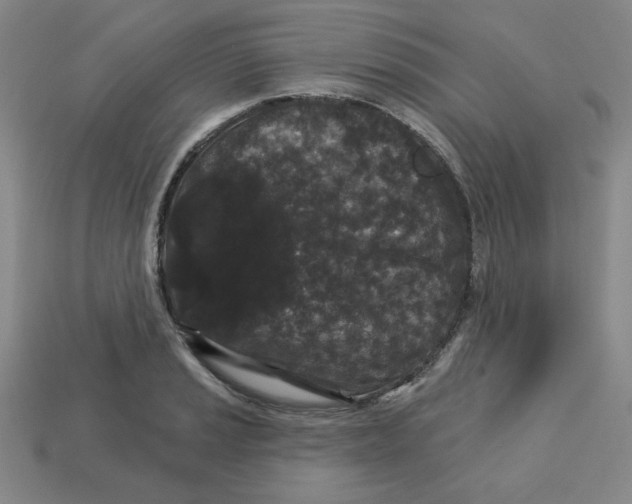 X0000113161037200910021457