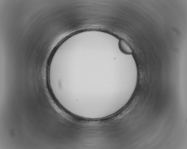 X0000113161038200910021457