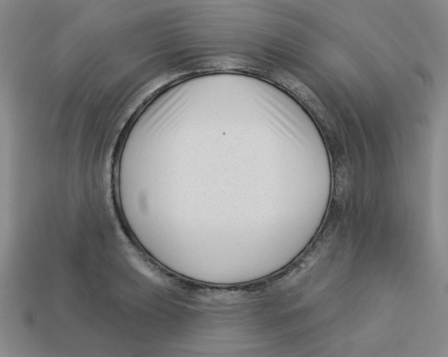 X0000113161039200910021457