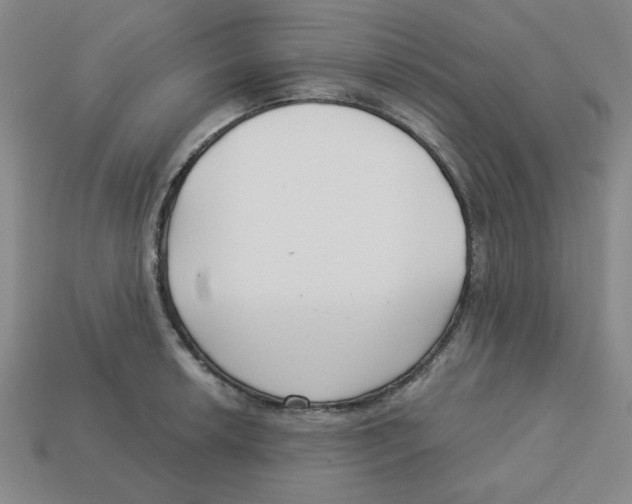 X0000113161042200910021457