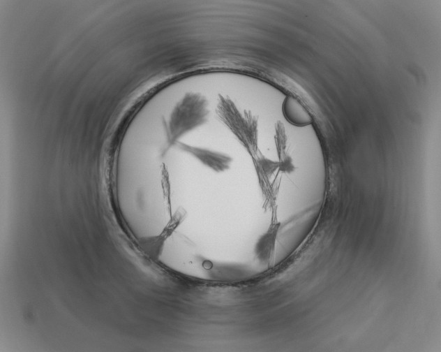 X0000113161043200910021457