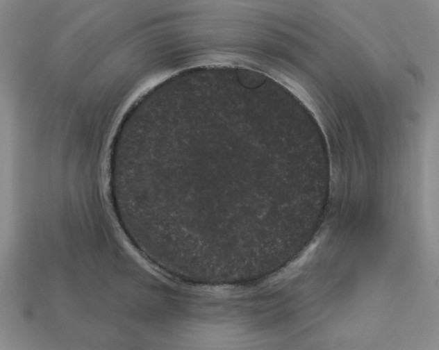 X0000113161045200910021457