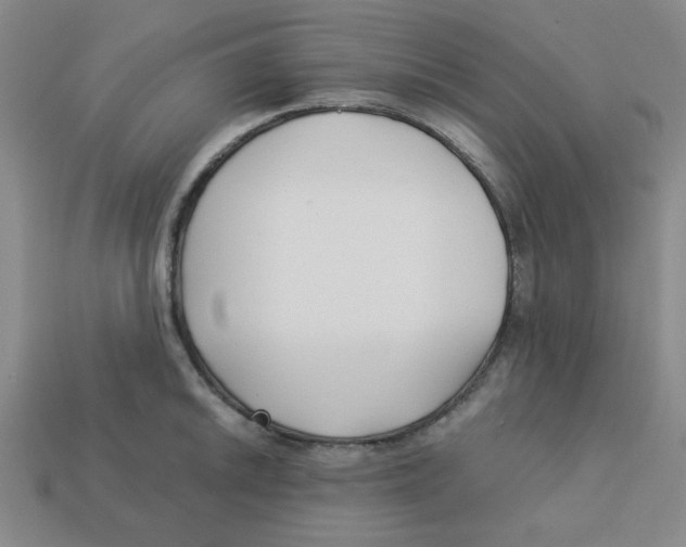 X0000113161046200910021457