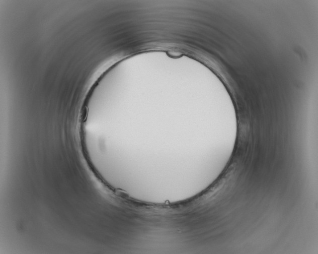 X0000113161050200910021457