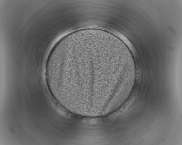 X0000113161051200910021457