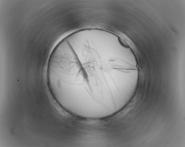 X0000113161052200910021457