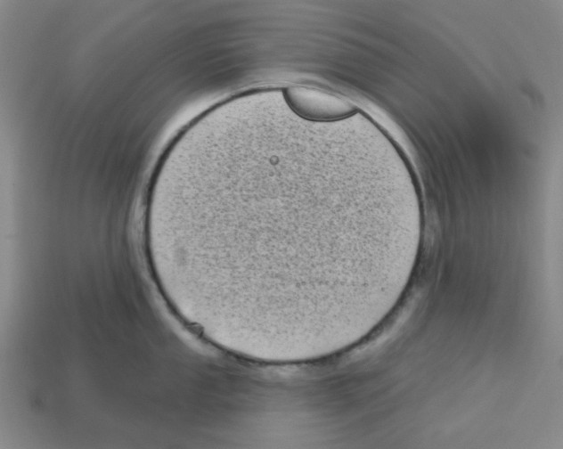 X0000113161053200910021457