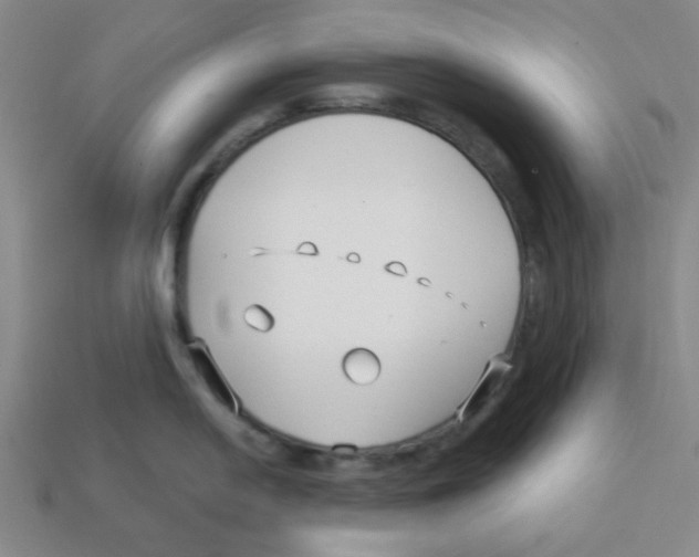 X0000113161054200910021457