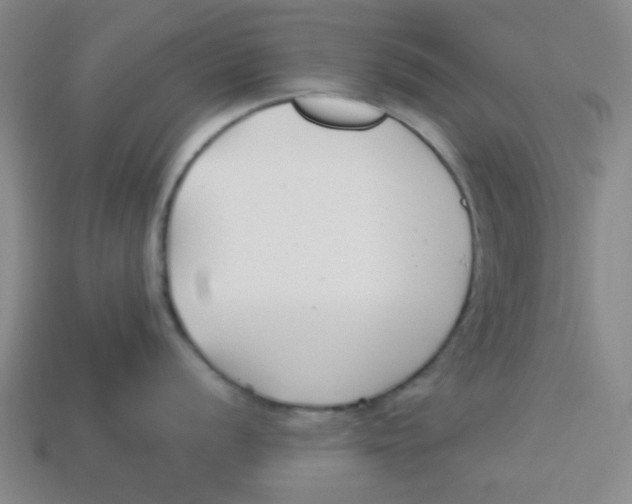 X0000113161056200910021457