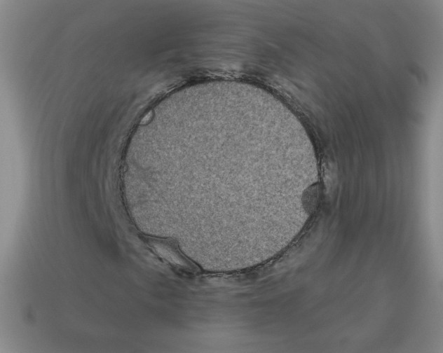 X0000113161057200910021456