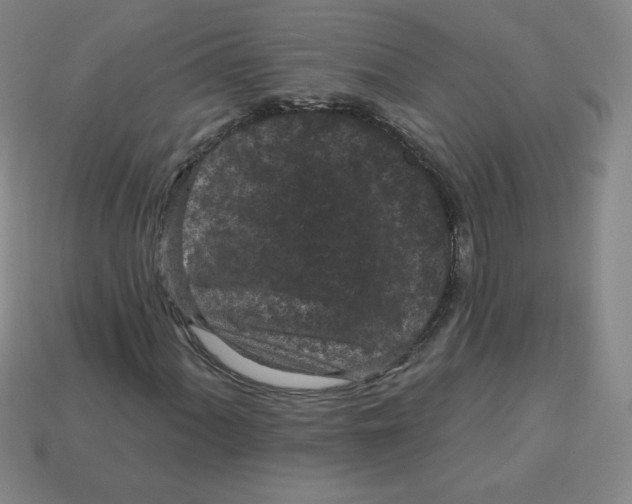 X0000113161060200910021456