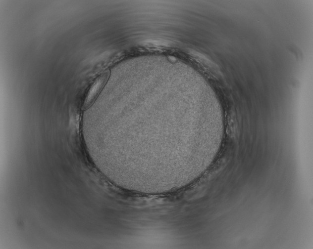 X0000113161061200910021456