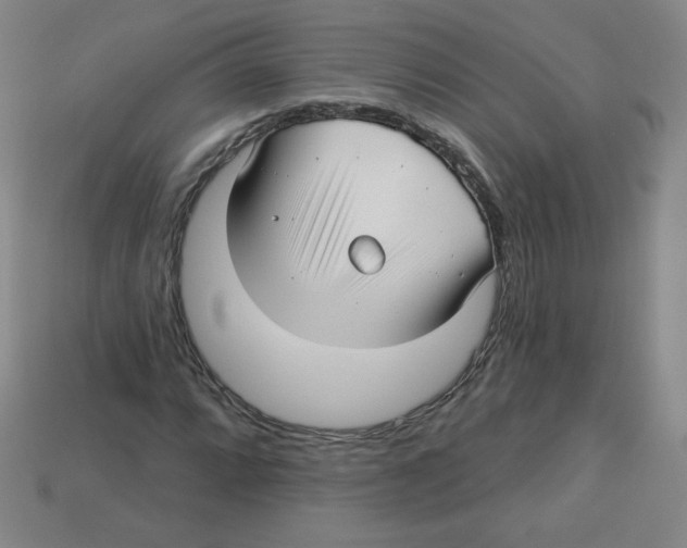 X0000113161064200910021456