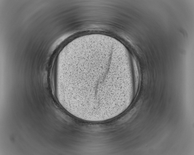 X0000113161066200910021456