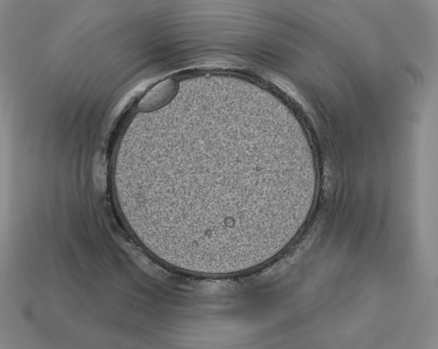 X0000113161067200910021456