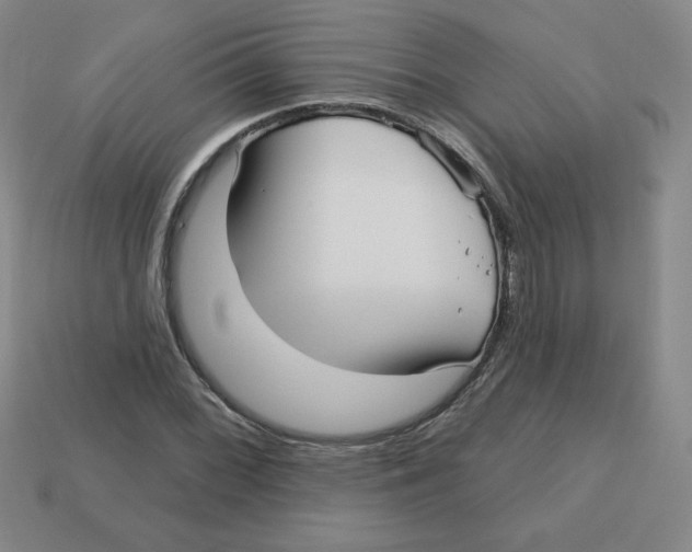 X0000113161068200910021456