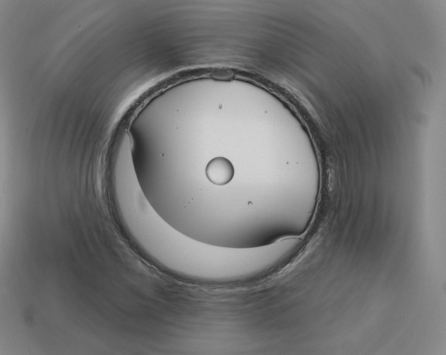 X0000113161069200910021456