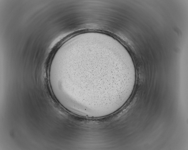 X0000113161070200910021456