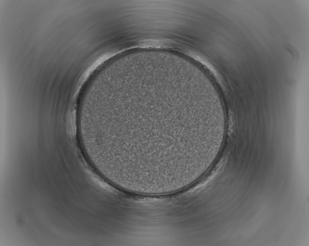 X0000113161075200910021456