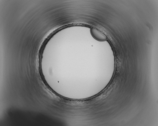 X0000113161076200910021456