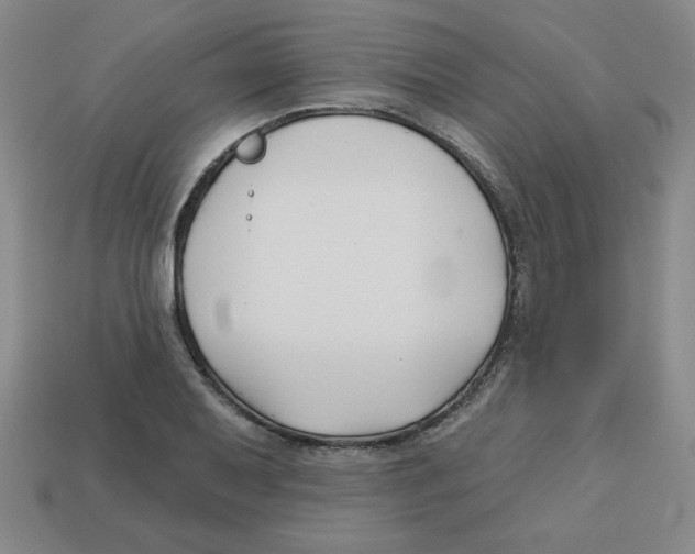 X0000113161079200910021456