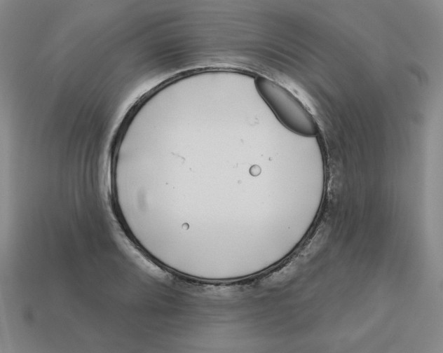 X0000113161080200910021456