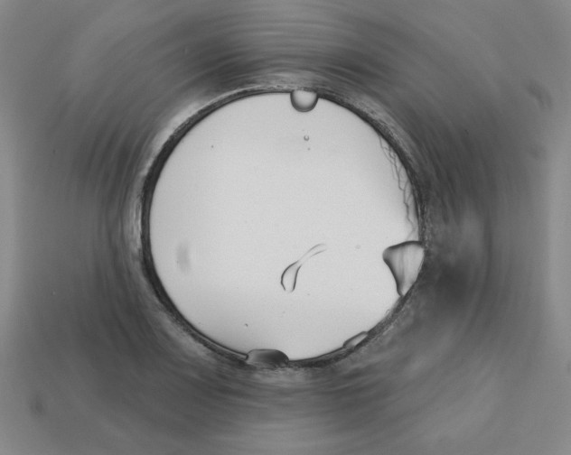 X0000113161083200910021456