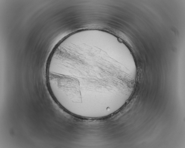 X0000113161087200910021456