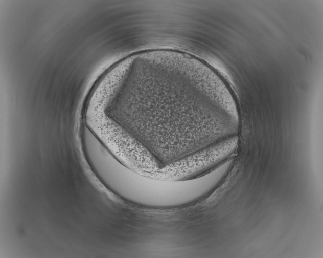 X0000113161088200910021456