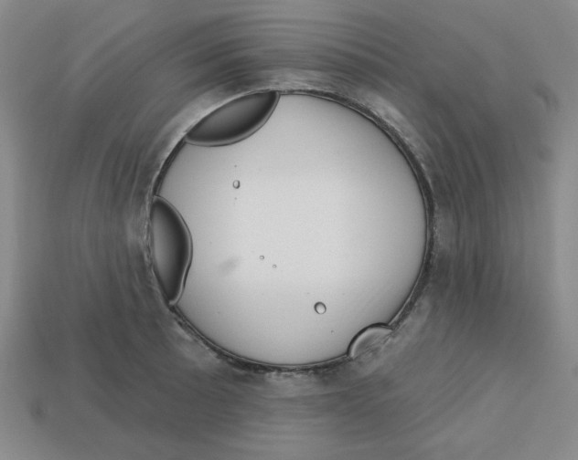 X0000113161089200910021456