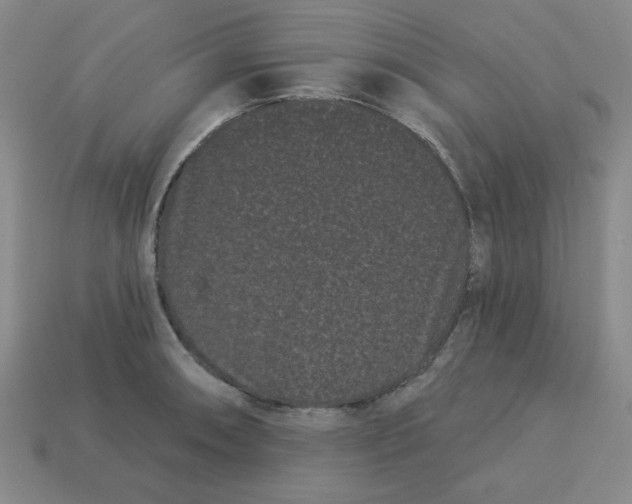 X0000113161090200910021456