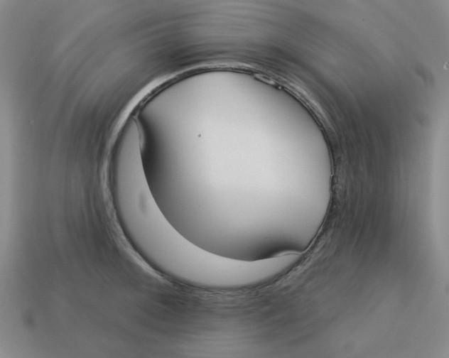 X0000113161092200910021456