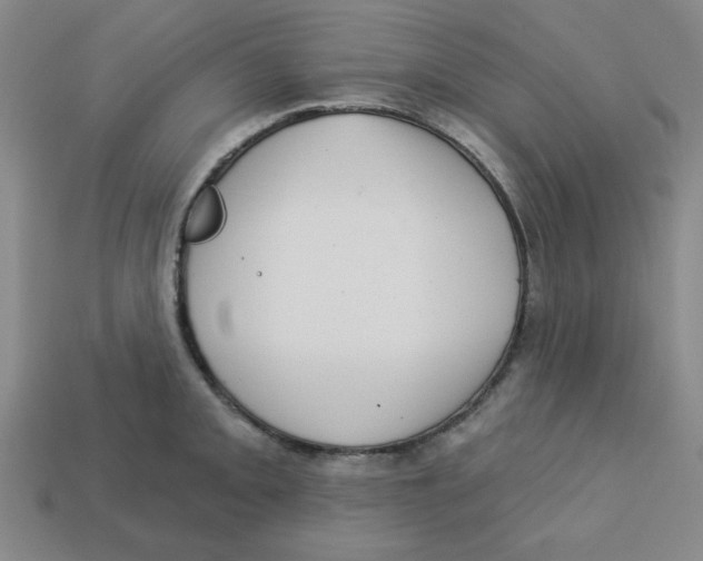 X0000113161093200910021456