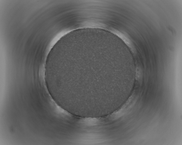 X0000113161094200910021456