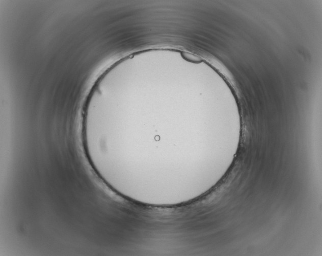 X0000113161096200910021456