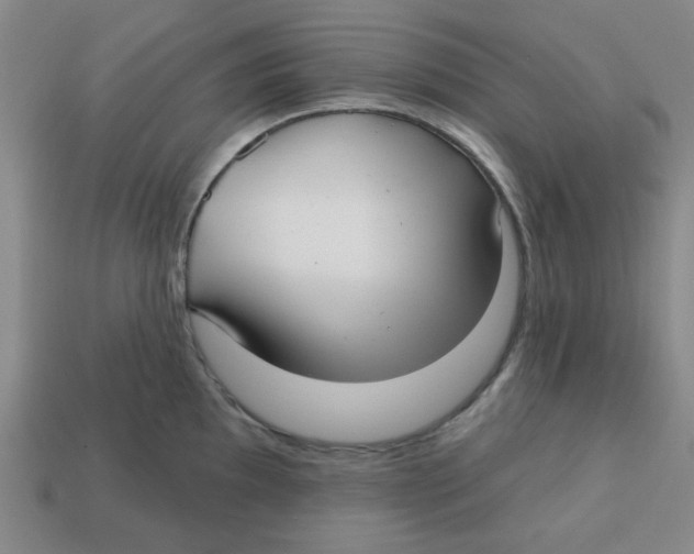 X0000113161097200910021456