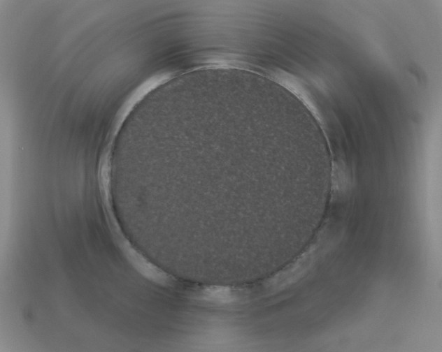 X0000113161098200910021456