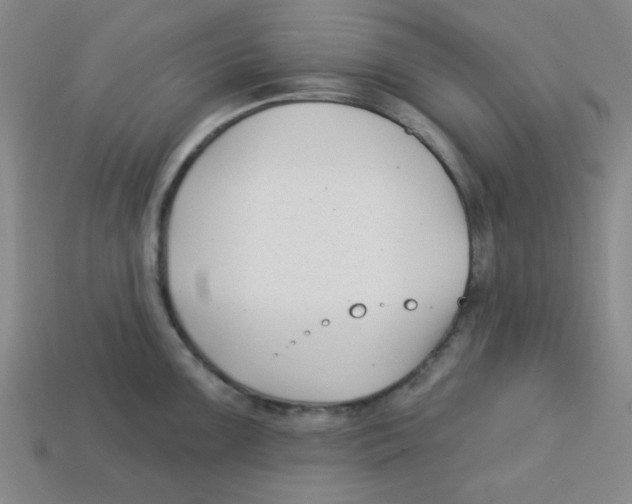 X0000113161099200910021456