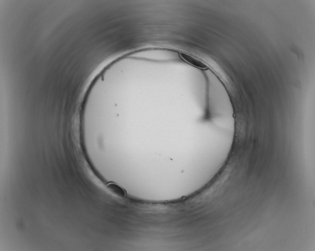 X0000113161100200910021456