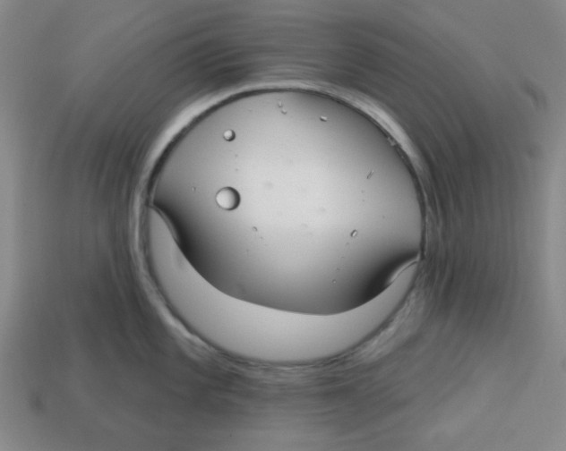 X0000113161101200910021456