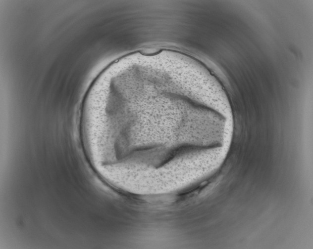 X0000113161102200910021456