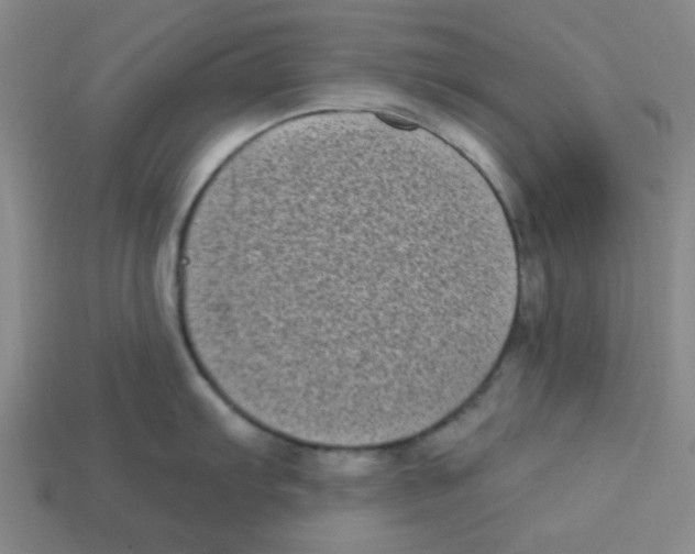 X0000113161103200910021456