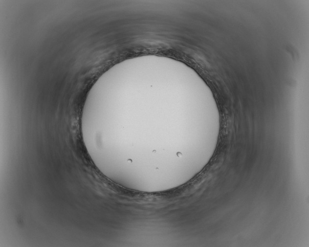 X0000113161109200910021455